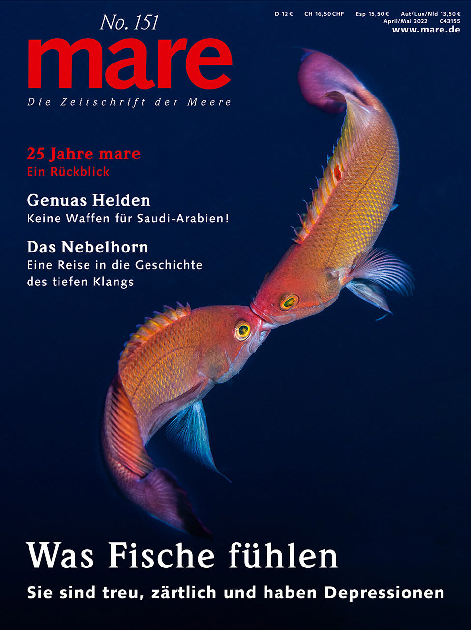 Copertina Mare n° 151 — Copertina