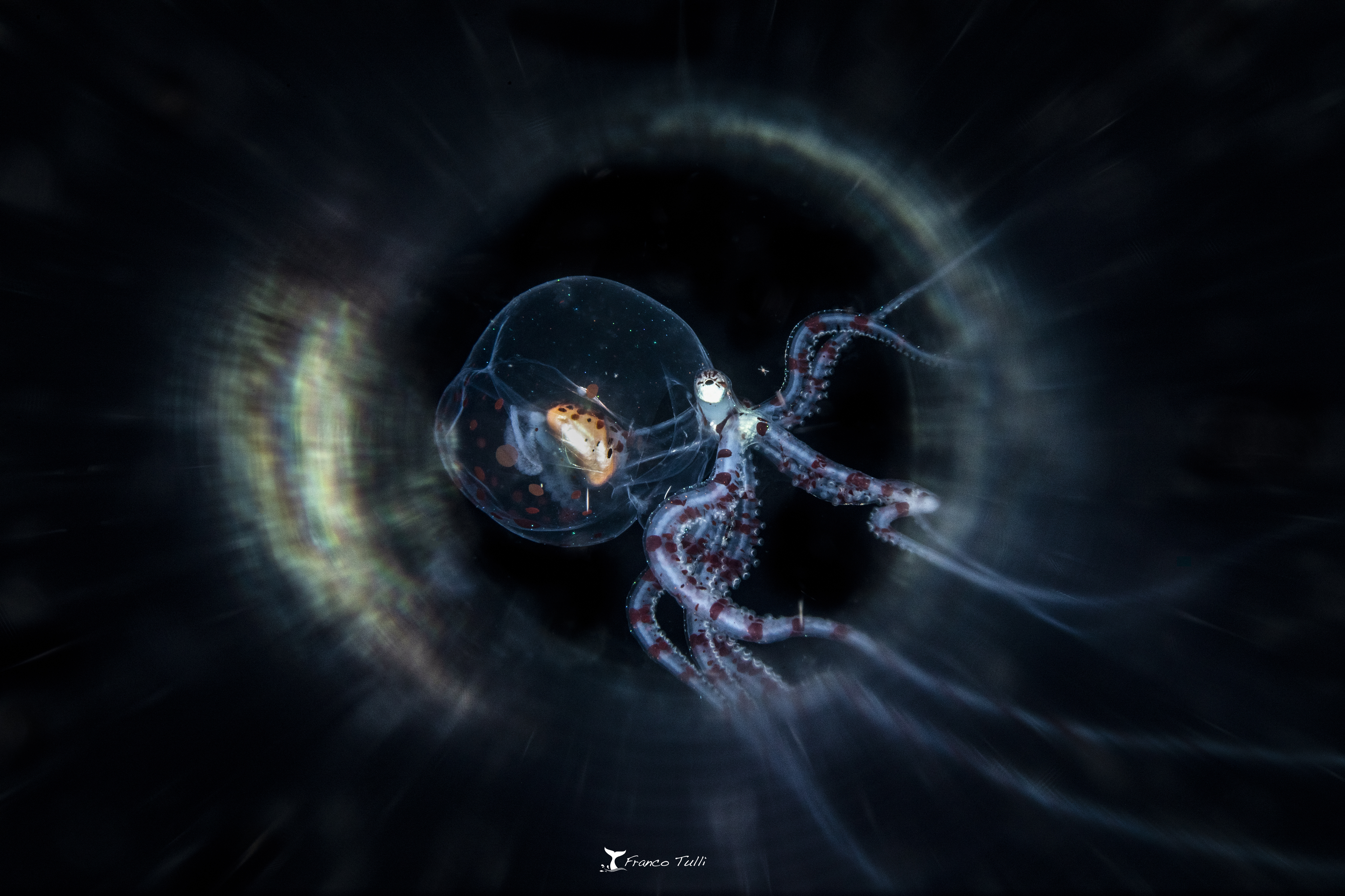 BlackHole